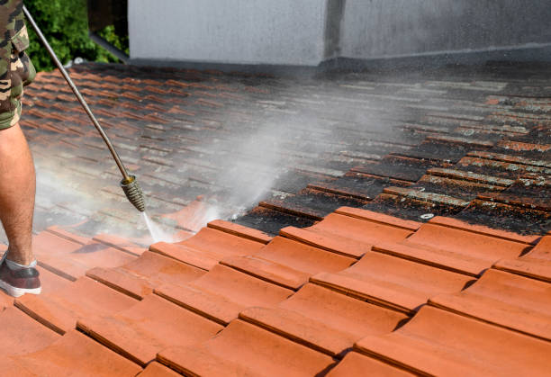 Best Sidewalk Pressure Washing  in Orangetree, FL
