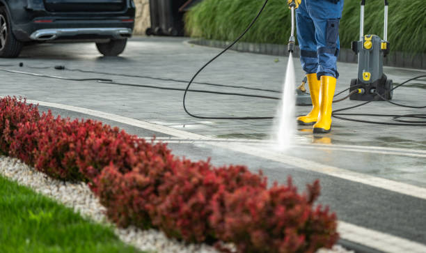 Professional Pressure Washing in Orangetree, FL