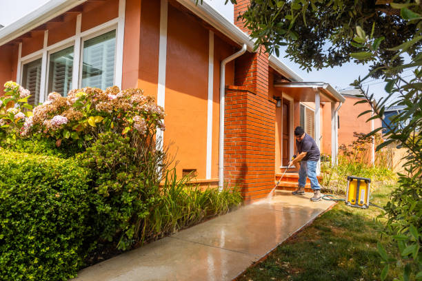 Best Affordable Power Washing  in Orangetree, FL