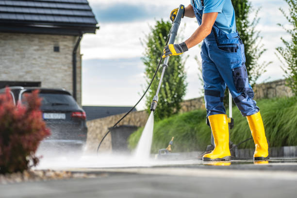 Best House Pressure Washing  in Orangetree, FL