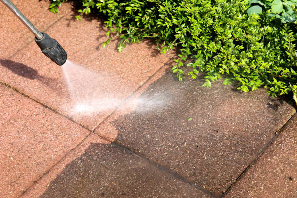 Best Roof Pressure Washing  in Orangetree, FL